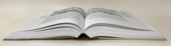 Specialusis pasiūlymas įsigyti leidinį „Vilniaus istorija, I–III tomai“ 